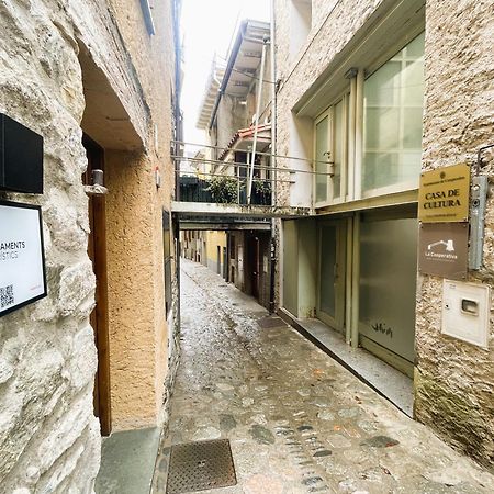Apartamento Duplex En El Corazon De Camprodon, La Rovira Exterior photo